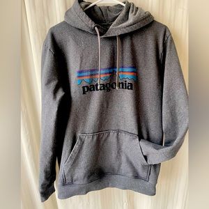 Men’s or Women’s Patagonia Hoodie